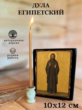 Дула Египетский — вид 3