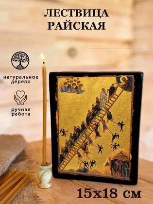 Лествица Райская — вид 5
