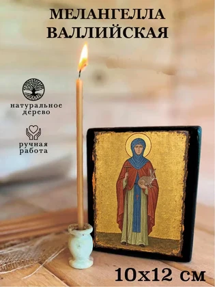 Мелангелла Валлийская — вид 3
