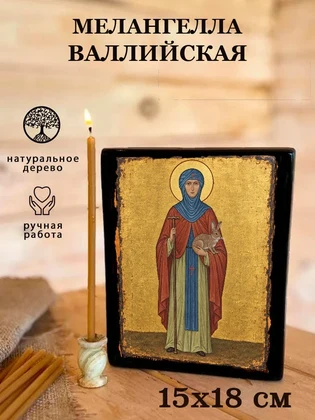 Мелангелла Валлийская — вид 5