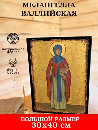 Мелангелла Валлийская — вид 7