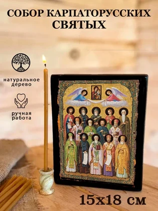Собор Карпаторусских святых — вид 5