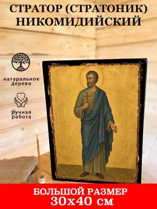 Стратор (Стратоник) Никомидийский — вид 7