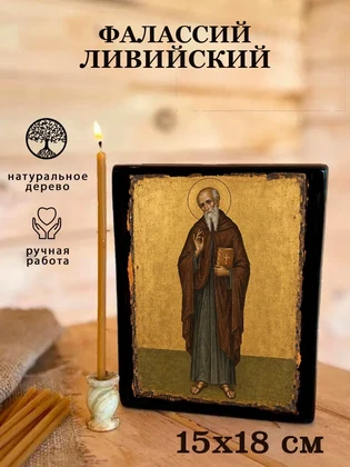 Фалассий Ливийский — вид 5