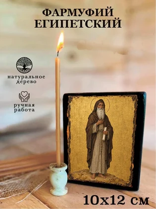 Фармуфий Египетский — вид 3
