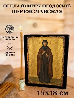 Фекла (в миру Феодосия) Переяславская — вид 5