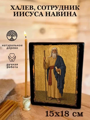 Халев, сотрудник Иисуса Навина — вид 5