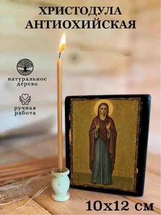 Христодула Антиохийская — вид 3