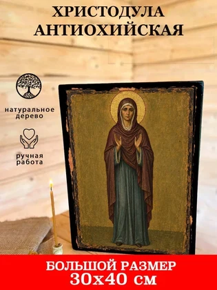 Христодула Антиохийская — вид 7