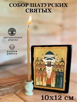 Собор Шатурских святых — вид 3