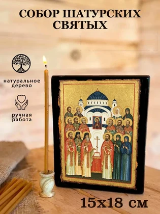 Собор Шатурских святых — вид 5