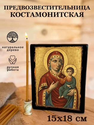Предвозвестительница Костамонитская — вид 5