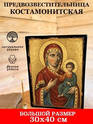 Предвозвестительница Костамонитская — вид 7