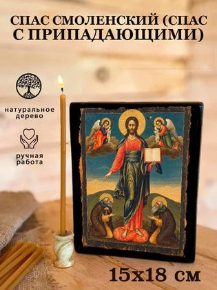 Спас Смоленский (Спас с припадающими) — вид 5