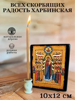 Всех скорбящих радость Харбинская — вид 3