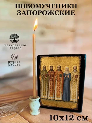 Новомученики Запорожские — вид 3