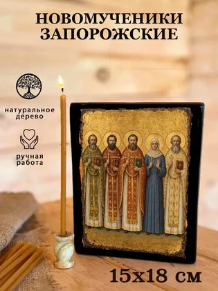 Новомученики Запорожские — вид 5
