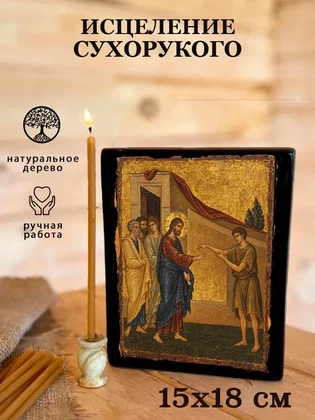 Исцеление сухорукого — вид 5