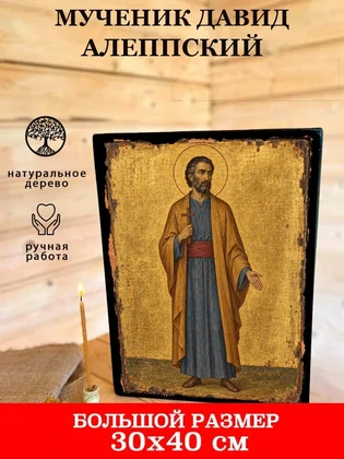 Мученик Давид Алеппский — вид 7