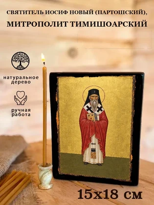 Святитель Иосиф Новый (Партошский), митрополит Тимишоарский — вид 5