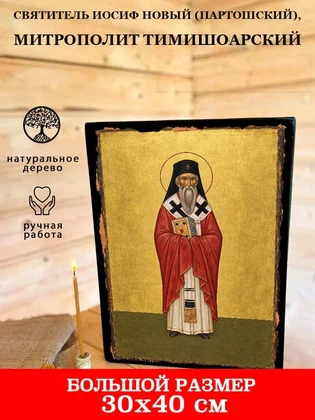 Святитель Иосиф Новый (Партошский), митрополит Тимишоарский — вид 7