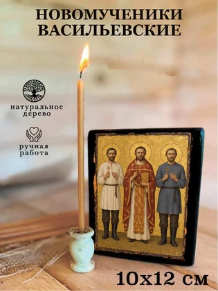 Новомученики Васильевские — вид 3