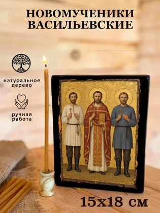 Новомученики Васильевские — вид 5