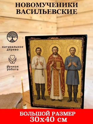Новомученики Васильевские — вид 7