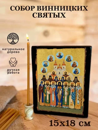 Собор Винницких святых — вид 5