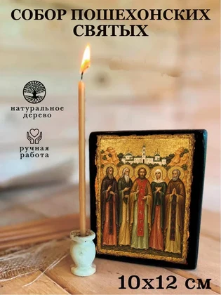 Собор Пошехонских святых — вид 3