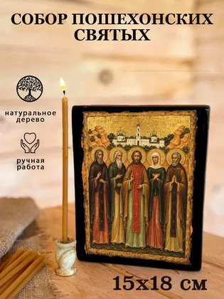 Собор Пошехонских святых — вид 5