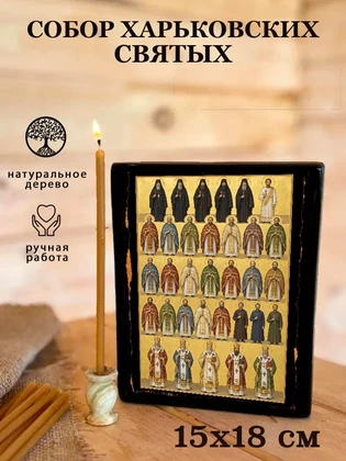 Собор Харьковских святых — вид 5