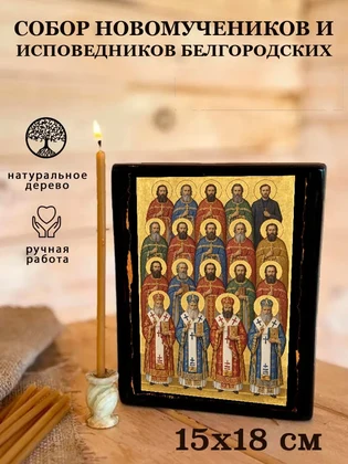Собор новомучеников и исповедников Белгородских — вид 5