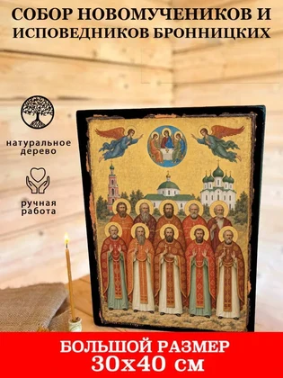 Собор новомучеников и исповедников Бронницких — вид 7