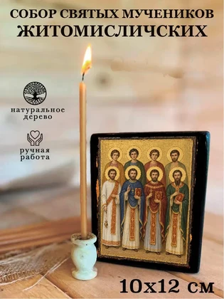 Собор святых мучеников Житомисличских — вид 3