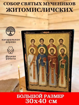 Собор святых мучеников Житомисличских — вид 7