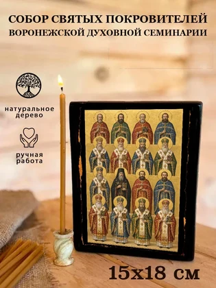 Собор святых покровителей Воронежской духовной семинарии — вид 5