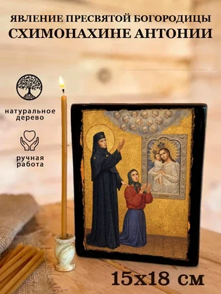 Явление Пресвятой Богородицы схимонахине Антонии — вид 5
