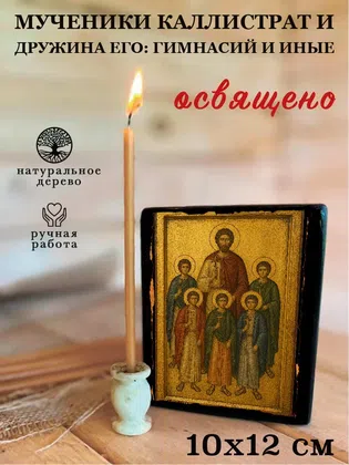 Мученики Каллистрат и дружина его: Гимнасий и иные — фото 3