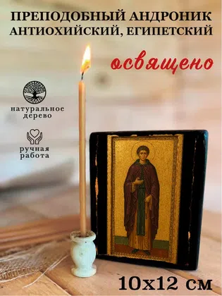 Андроник Антиохийский, Египетский, преподобный — фото 3