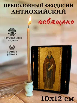 Феодосий Антиохийский, преподобный — фото 3