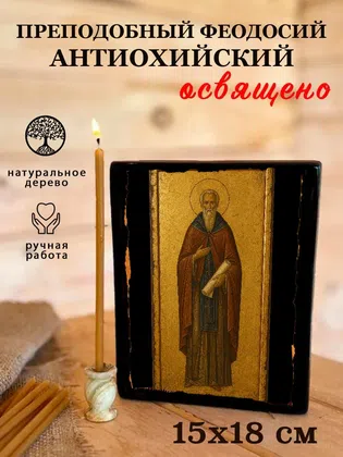 Феодосий Антиохийский, преподобный — фото 5