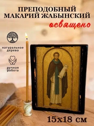 Макарий Жабынский, преподобный — фото 5