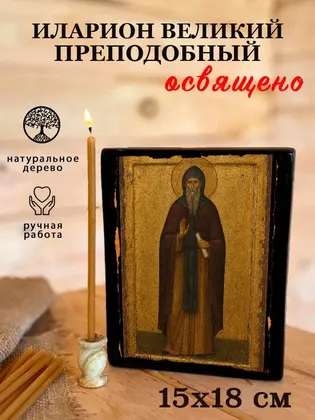 Иларион Великий Преподобный — фото 5