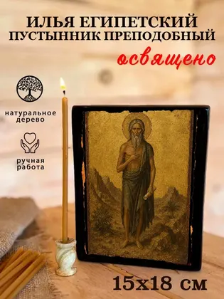 Илья Египетский пустынник Преподобный — фото 5