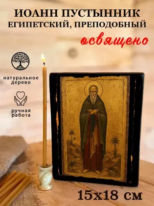 Иоанн Пустынник Египетский, преподобный — фото 5