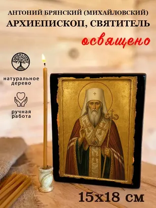 Антоний Брянский (Михайловский) архиепископ, святитель — фото 5