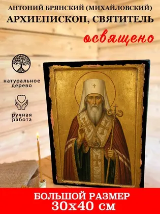 Антоний Брянский (Михайловский) архиепископ, святитель — фото 7