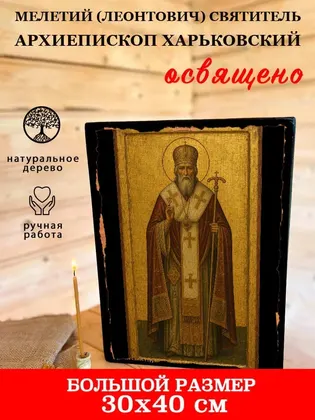 Мелетий (Леонтович) Святитель архиепископ Харьковский — фото 7