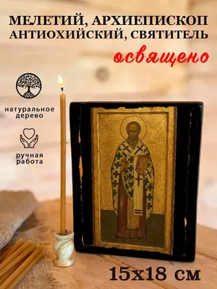 Мелетий, архиепископ Антиохийский, святитель — фото 5